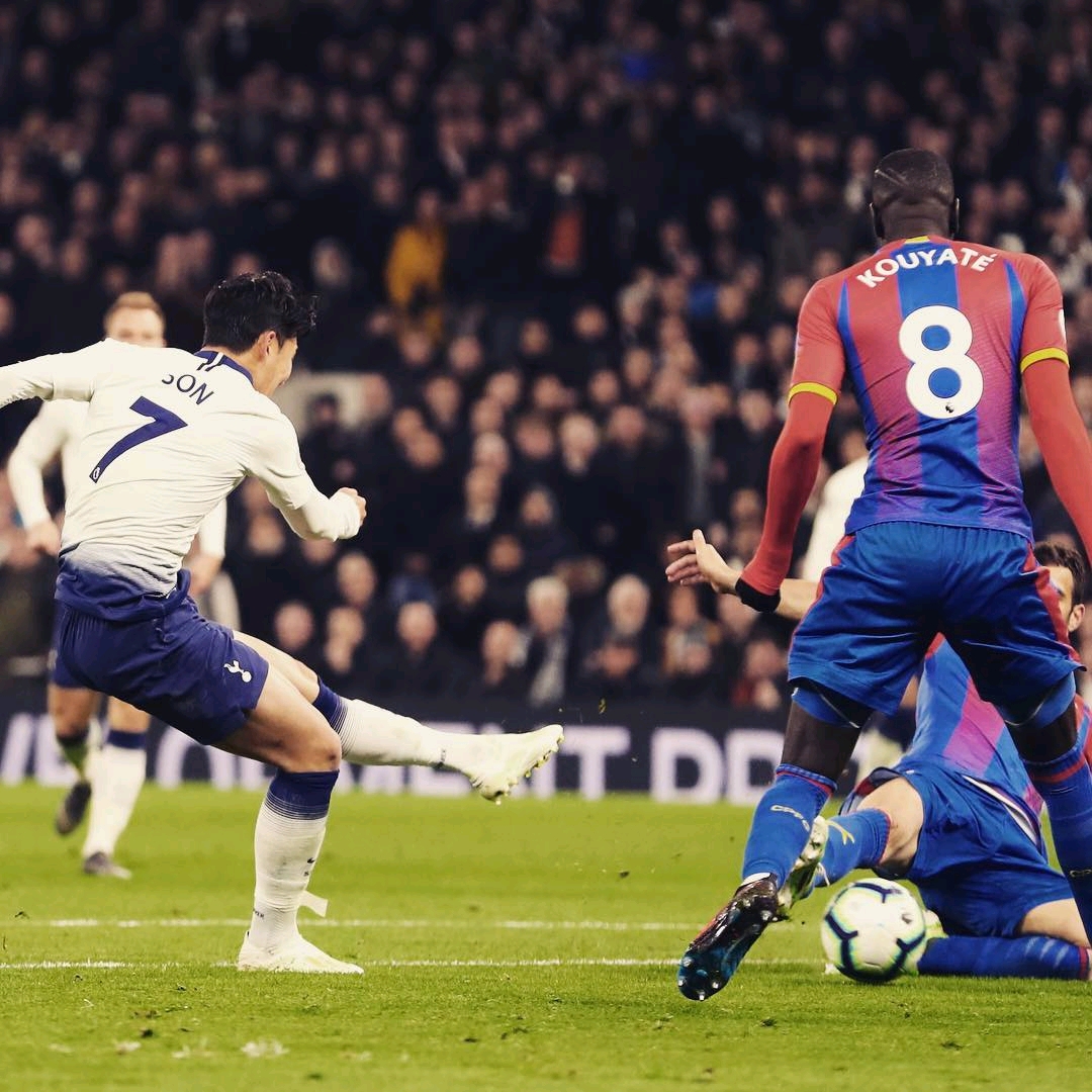 在他的指导 在他的指导